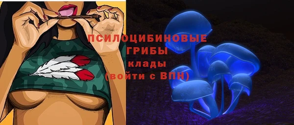 a pvp Новозыбков