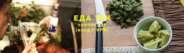 прущие грибы Новодвинск