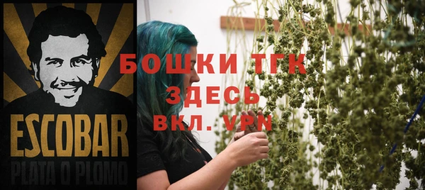 a pvp Новозыбков