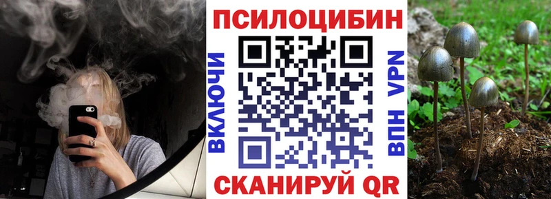 Галлюциногенные грибы мухоморы Хотьково